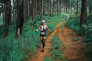 BIB: 
                            <button type="button" onclick="openModal(25674019)" class="btn btn-primary btn-sm float-right btn-popup" data-toggle="modal" data-target=".modal-high-quality">
                        <i class="fas fa-shopping-cart"></i> Add to Cart
                    </button>
                                            <button type="button" onclick="isThisMe(25674019, true)" class="btn btn-success btn-sm float-right btn-popup btn-isme hidden" data-toggle="tooltip" data-placement="bottom" title="นี่คือรูปของคุณใช่ไหม คลิกที่นี่เพื่อเอาเข้าอัลบั้ม">
                        <i class="fas fa-plus"></i> Add to album
                    </button>
                    <button type="button" onclick="isThisMe(25674019, false)" class="btn btn-warning btn-sm float-right btn-popup btn-isnotme hidden">
                        <i class="fas fa-ban"></i> Remove from album
                    </button>